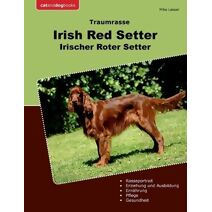 Traumrasse Irish Red Setter