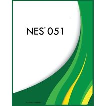 NES 051