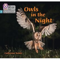 Owls in the Night (Big Cat Phonics for Little Wandle Letters and Sounds Revised)