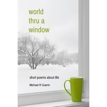 world thru a window