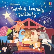 Twinkly Twinkly Nativity Book (Twinkly Twinkly)