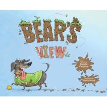 Bear's View