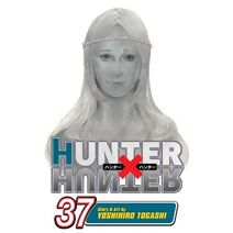Hunter x Hunter, Vol. 37 (Hunter X Hunter)
