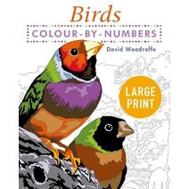 Large Print Colour by Numbers Birds (Arcturus Large Print Colour by Numbers Collection)