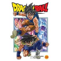 Dragon Ball Super, Vol. 20 (Dragon Ball Super)