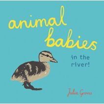 Animal Babies in the river! (Animal Babies)