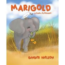 Marigold A Baby Elephant