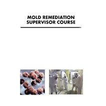 Mold Remediation Supervisor Course