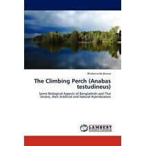 Climbing Perch (Anabas testudineus)