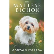Maltese Bichon