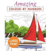 Amazing Colour-by-Numbers Large Print (Arcturus Large Print Colour by Numbers Collection)