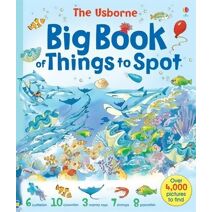 Big Book of Things to Spot (1001 Things to Spot)