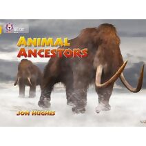 Animal Ancestors (Collins Big Cat)