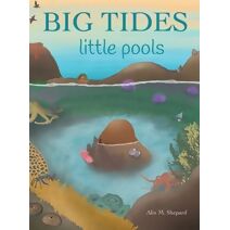 Big Tides Little Pools