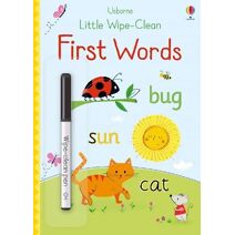Little Wipe-Clean First Words (Little Wipe-Clean)