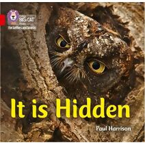 It is Hidden (Collins Big Cat Phonics for Letters and Sounds)