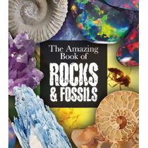 Amazing Book of Rocks and Fossils (Amazing Books)