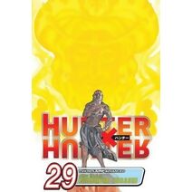 Hunter x Hunter, Vol. 29 (Hunter X Hunter)