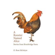 Rooster Named Alice