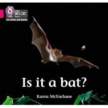 Is it a Bat? (Collins Big Cat Phonics for Letters and Sounds)