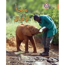 Elephant Sanctuary (Collins Big Cat Arabic Reading Programme)