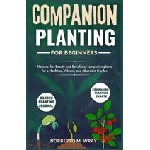 Companion Planting for beginners (Growing Tomatoes and Companion Planting)