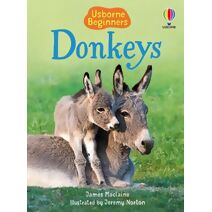 Donkeys (Beginners)