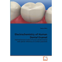 Electrochemistry of Human Dental Enamel