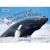 Journey of Humpback Whales (Collins Big Cat)
