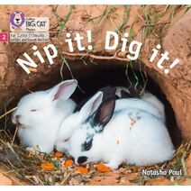 Nip it! Dig it! (Big Cat Phonics for Little Wandle Letters and Sounds Revised)