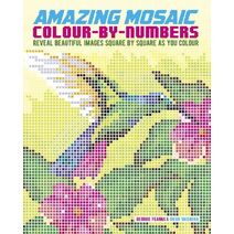 Amazing Mosaic Colour-By-Numbers (Arcturus Colour by Numbers Collection)