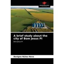 brief study about the city of Bom Jesus PI