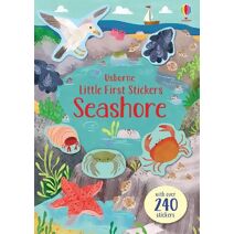 Little First Stickers Seashore (Little First Stickers)
