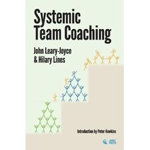 Systemic Team Coaching