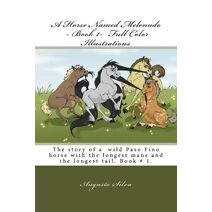 Horse Named Melenudo - Book 1- Full Color Illustrations (Horse Named Melenudo)