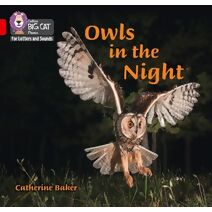 Owls in the Night (Collins Big Cat Phonics for Letters and Sounds)