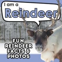 I am a Reindeer (I Am... Animal Facts)