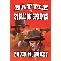 Battle of Stallion Springs