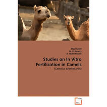 Studies on In Vitro Fertilization in Camels