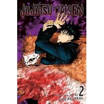 Jujutsu Kaisen, Vol. 2 (Jujutsu Kaisen)