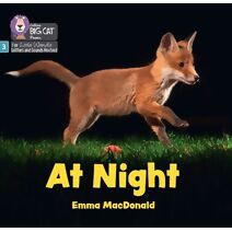 At Night (Big Cat Phonics for Little Wandle Letters and Sounds Revised)