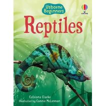 Reptiles (Beginners)