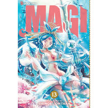 Magi: The Labyrinth of Magic, Vol. 13 (Magi)