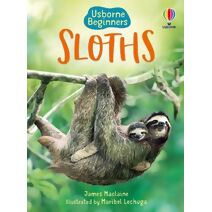 Sloths (Beginners)