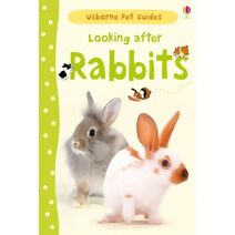 Looking after Rabbits (Pet Guides)