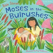 Bible Stories: Moses in the Bulrushes