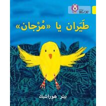 Fly, Murjan! (Collins Big Cat Arabic Reading Programme)