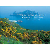 Wild Flowers of the Channel Islands Little Souvenir (Little Souvenir Books S.)