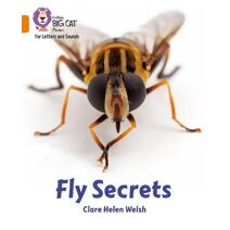Fly Secrets (Collins Big Cat Phonics for Letters and Sounds)