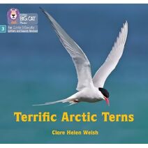 Terrific Arctic Terns (Big Cat Phonics for Little Wandle Letters and Sounds Revised)